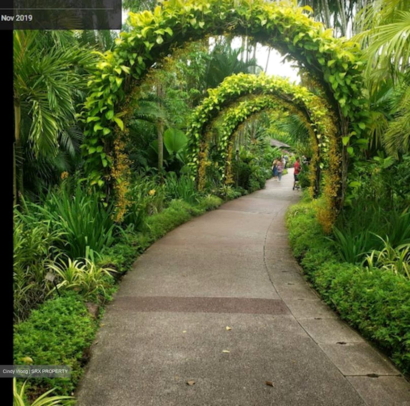 Swettenham Road (D10), Detached #462111931